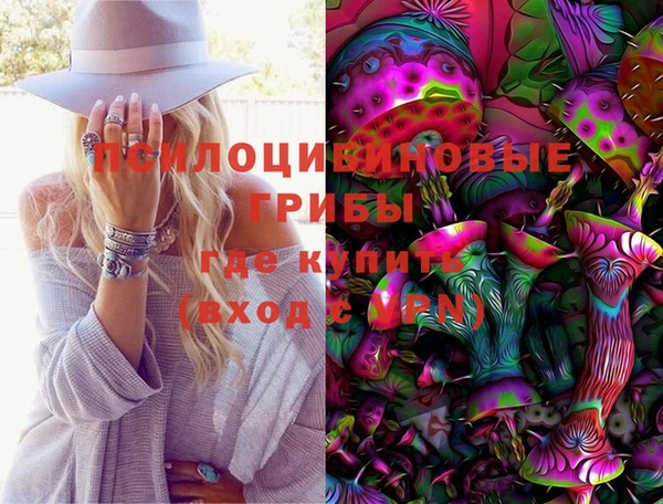ГАЛЛЮЦИНОГЕННЫЕ ГРИБЫ Горнозаводск