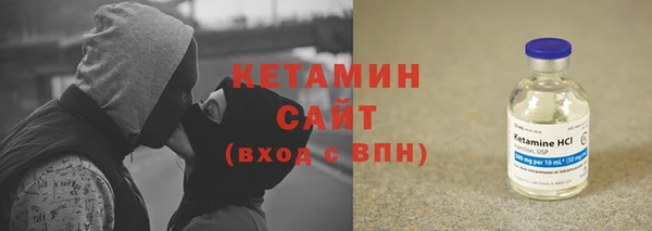 гидра Вязьма