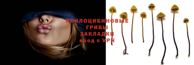 гидра Вязьма